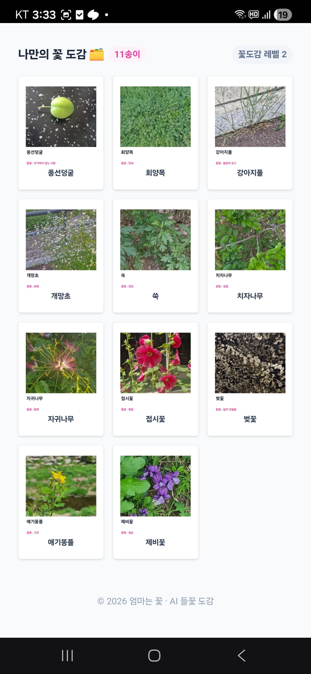 엄마는꽃 (Mom is Flower) screen 4
